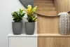 Two potted plants are placed on a white shelf in front of a wooden wall and a mirror reflecting a staircase. Podgląd zdjęcia produktu