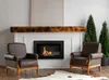 A living room scene with a fireplace, two armchairs, and two cypress trees. Voir les images du produit