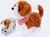 Van Manen Cane da caccia bianco/marrone con funzioni, 17 cm Anteprima dell’immagine prodotto 8