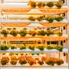 A vertical hydroponic farm with multiple shelves of leafy green plants under grow lights. Náhľad obrázku produktu