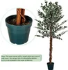 PLANTASIA Sztuczne drzewo figowe, 160 cm Podgląd zdjęcia produktu 4