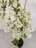 Exochorda racemosa 'Blushing Pearl'®, krzew perłowy, Podgląd zdjęcia produktu 2