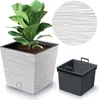 A potted plant in a decorative planter, with a close-up of the planter's texture and an insert for the planter shown separately. Náhľad obrázku produktu