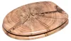 SANILO® Asiento de inodoro Old Tree, tapa de inodoro Vista previa de la imagen del producto 2