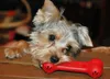 KONG Classic Goodie Bone, Hund, Knochen, Rot, Gummi, Produktbild-Vorschau 3