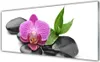 Acrylglasbilder 125x50 Wandbild Druck Blume Steine Kunst Produktbild-Vorschau 1