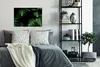 MuchoWow® Poster Dschungel - Pflanzen - Monstera - Jungen - Produktbild-Vorschau 4