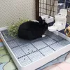 A black rabbit sits on a large litter box with hay and a water dispenser. Produktbild-Vorschau