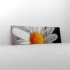 Bild auf Leinwand - Leinwandbild - Kraut Kamille Blume Produktbild-Vorschau 4