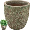 A large ceramic pot with a textured, mottled green and brown finish, shown next to a smaller pot containing a green plant. Voir les images du produit
