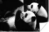 MuchoWow® Poster Pandas - Schwarz - Weiß 30x20 cm - Plakate Produktbild-Vorschau 1