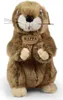 Marmotta di peluche, 23 cm, ecologica Anteprima dell’immagine prodotto 7