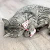 Aumüller Baldrian Schmusekissen für Katzen - Produktbild-Vorschau 2