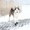 TRIXIE Pfotenschutz Walker Active - schwarz Produktbild-Vorschau 3