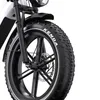 Elektrofahrrad, 250W E-Bike mit 2*18Ah herausnehmbarem Produktbild-Vorschau 6