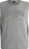 Übergrößen Tanktop Harrisburg Grau AHORN SPORTSWEAR Grey Produktbild-Vorschau 1