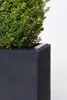 VIVANNO Pflanztrog Fiberglas MAXI Kasten, Kieselanthrazit Produktbild-Vorschau 2