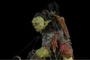 Soška Iron Studios Archer Orc BDS Art Scale 1/10 - Lord of Náhled obrázku produktu 6