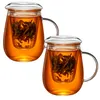 Two glass tea cups with infusers and lids, filled with tea. Produktbild-Vorschau