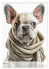 Französische Bulldogge - ein Hund für die Familie Produktbild-Vorschau 8