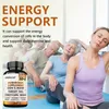 Mushroom Complex 11500mg (120 capsules) Complément Voir les images du produit 12