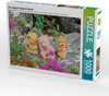 CALVENDO Puzzle Die Püppchen sitzen hier im Garten, ob sie Produktbild-Vorschau 2