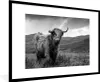 MuchoWow® Gerahmtes Poster Schottischer Highlander - Berg - Produktbild-Vorschau 1