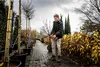 Flex Akku-Astschere GPS 35 + Akku Set P-Set 22 Q (18 Volt, Produktbild-Vorschau 13