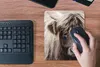 MuchoWow® Mauspad Mousepad Schottischer Highlander - Tier - Produktbild-Vorschau 4