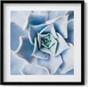 Blume– Wandbild mit Rahmen – Gerahmtes Bild  – Produktbild-Vorschau 1