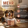 Fellkraft™ Turkey Tail Hunde Probiotika Vitalpilz Immun Produktbild-Vorschau 5