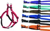 Nobby Geschirr Soft Grip lila, Brustumfang: 30-40 cm Produktbild-Vorschau 2