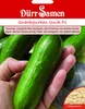 Dürr-Samen - Snackgurke Iznik F1 - Saatgut - 1115 Produktbild-Vorschau 4