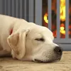 Relaxdays 10039186, 1 kusů Náhled obrázku produktu 6