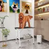 A dog stands on a grooming table in a room with artwork and shelves of products. Voir les images du produit