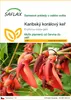 SAFLAX - Karibský korálový keř - Erythrina crista-galli - 6 Náhled obrázku produktu 1