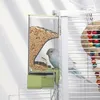Automatischer Vogelfutterspender mit Sitzstange – für Produktbild-Vorschau 6