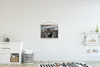 MuchoWow® Textilposter Schottischer Highlander - Tiere - Produktbild-Vorschau 2