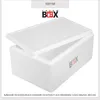 THERM BOX Styroporbox 38W Innen: 53x33x21cm Wand: 3cm Produktbild-Vorschau 8