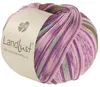 Lana Grossa Landlust DIE SOCKENWOLLE 100 g 4-fach Produktbild-Vorschau 1