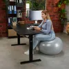 A woman is working at a standing desk while sitting on an exercise ball in a home office setting. Produktbild-Vorschau