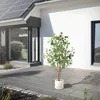 ML-Design Künstliche Eukalyptus 150 cm, Kunstpflanze mit Produktbild-Vorschau 9