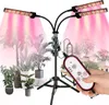 A hand holding a remote control for a plant grow light stand with multiple LED light bars illuminating potted plants. Produktbild-Vorschau