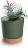 A potted plant with a green pot and a brown saucer. Anteprima dell’immagine prodotto