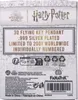 Harry Potter Halskette & Anhänger Flying Key Produktbild-Vorschau 3