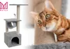 A cat tree with a cat looking into the camera. Anteprima dell’immagine prodotto