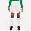 Nike Hosen Dry Park Iii JR, BV6865102, Größe: 128 Produktbild-Vorschau 8