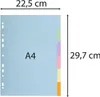 Exacompta 1606E, Vícebarevný, Karton, Papír, A4, 225 mm, Náhled obrázku produktu 4