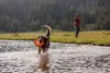 Ruffwear Hydro Plane Hundespielzeug, Farbe:Campfire Orange, Produktbild-Vorschau 9