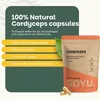 Cordyceps Kapseln 500 mg Produktbild-Vorschau 5